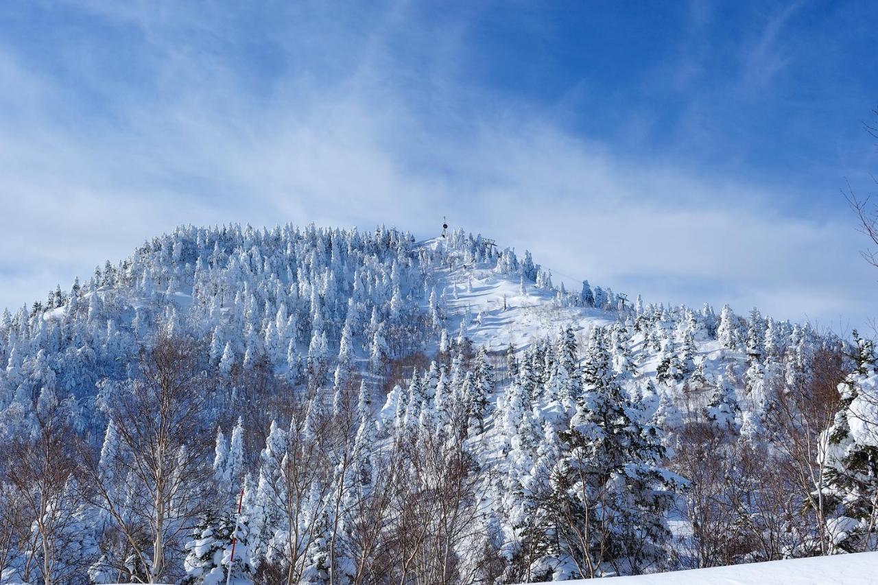 Shiga Kogen Olympic Hotel Яманучи Екстериор снимка